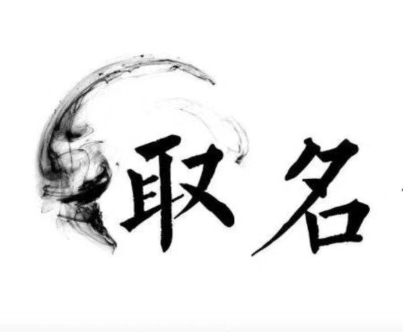  延长宝宝取名 大师一对一人工起名